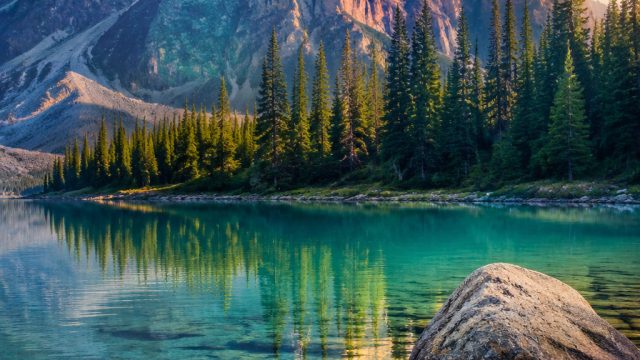 Captivating Nature: Why Wilderness Wallpapers Perfectly Inspire