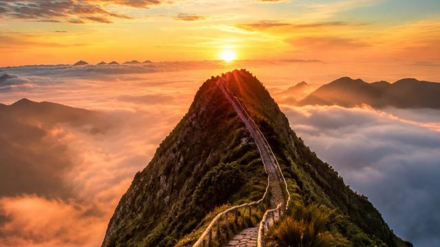 Enchanting Visuals: Captivating Wallpaper Gallery for All Devices