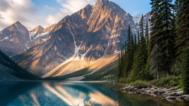 Captivating Nature Scenes: Perfect Backgrounds for Your Screens