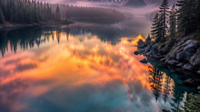 Captivating Imagery: Ideal Wallpaper Themes for Your Devices