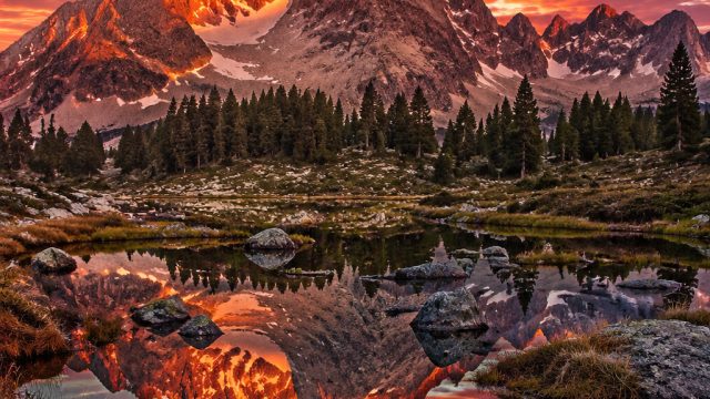 Captivating Visual Themes for Your Digital Devices