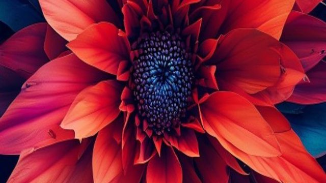 Embrace the Bold: Striking Visuals for Your Screen