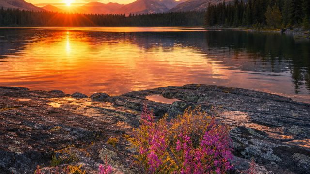 Transform Your Space with Mesmerizing Photography Wallpapers