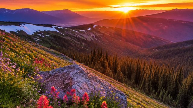 Captivating Nature: Stunning Wallpapers for Your Digital Devices