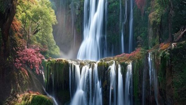 Discover the Beauty of Waterfalls: A Stunning Gallery Experience