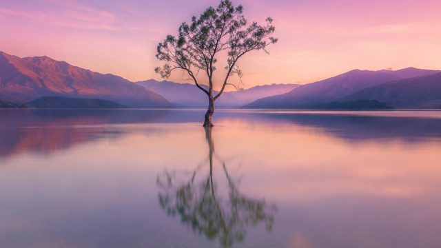 The Magic of Minimalism: How Simple Photography Can Make a Big Impact | joker123d, judi top up pulsa