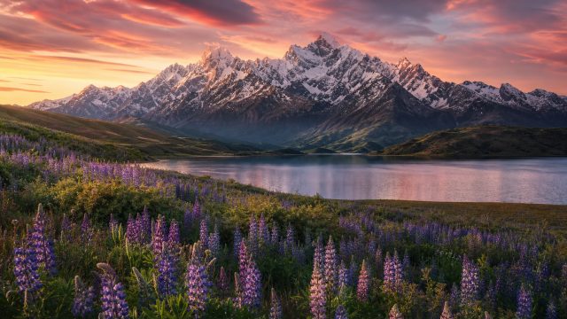 Transform Your Screen with Nature's Splendor: Stunning Wallpapers