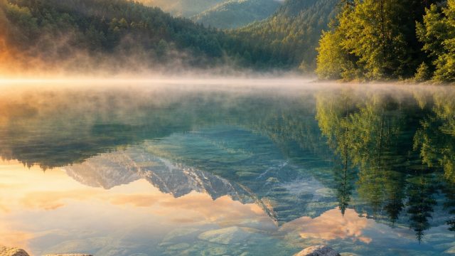 Explore the Serenity of Nature: Tranquil Wallpaper Gallery