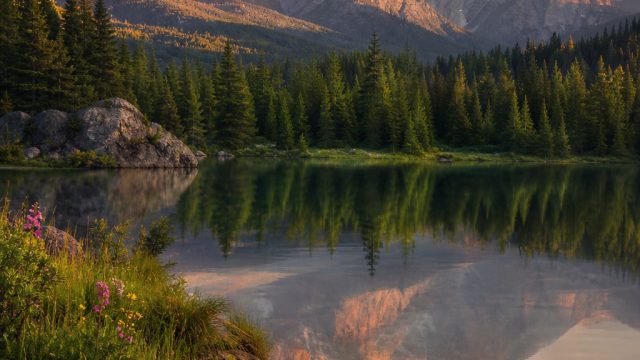 Elegant Nature: Transform Your Screen with Stunning Landscapes