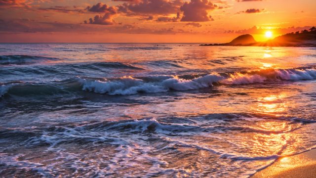 Embrace Nature's Wonders: Ocean Vibes for Your Screens