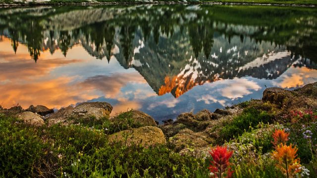 Explore the Allure of Nature: Stunning Wallpaper Collection | trik kaya dengan judi slot, vpnslot rt