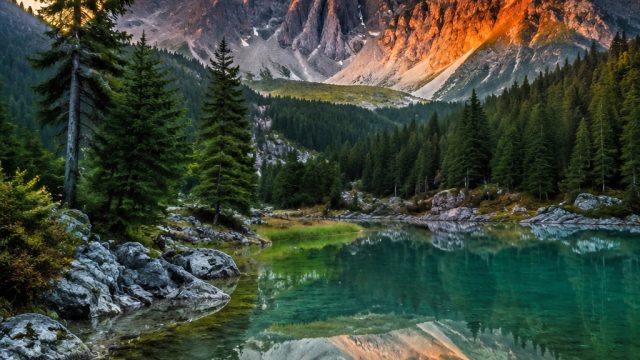 Captivating Nature Scenes