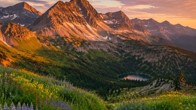 Captivating Nature: Your 