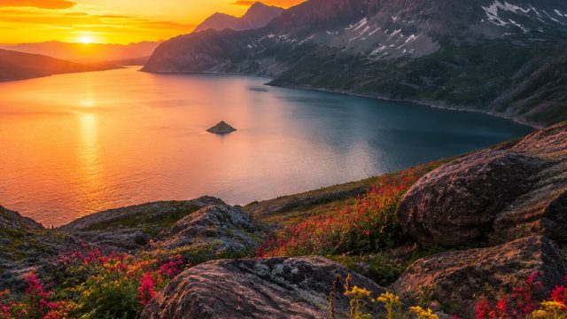 Discover the Serenity of 