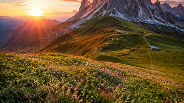 Charming Nature: Serene L