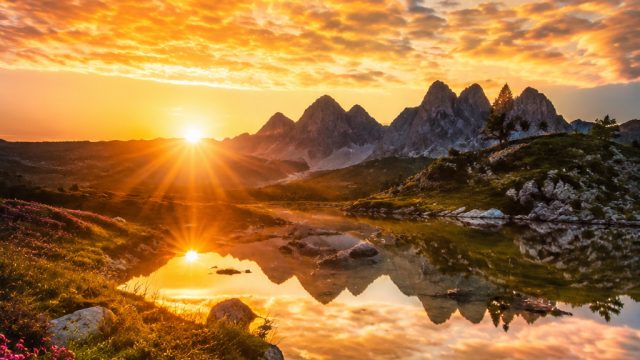 Captivating Wallpaper Themes for Your Devices
