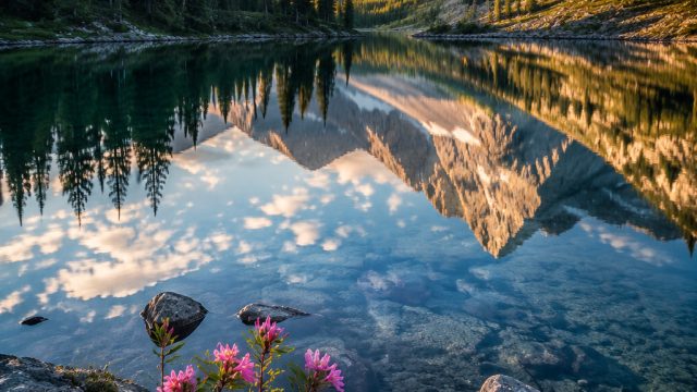 Discover the Tranquil Beauty of Serene Nature Wallpapers | online gambling, toto slot 88