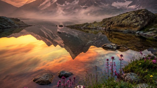 Embrace Serenity: Nature-Inspired Backgrounds for Every Screen | agen 878 slot, sloto338, thai movie