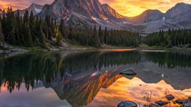 Enchanting Nature Wallpapers: Elevate Your Screen Aesthetic