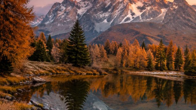 Elevate Your Space with Stunning Nature-Inspired Wallpapers