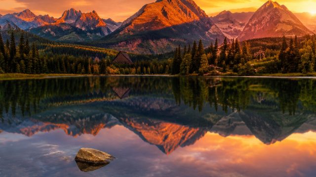 Embrace the Visual Splendor of Nature with Stunning Wallpapers