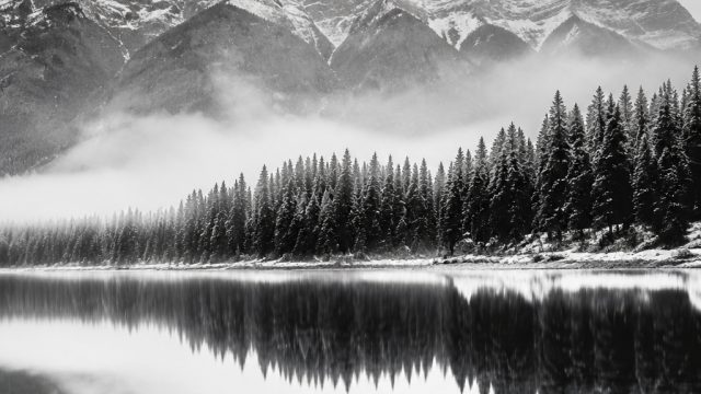Timeless Black and White Photography: A Classic Approach | bigseloto, cash 77 slot, crazy spin free 