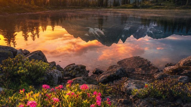 Captivating Nature Scenes: Transform Your Screen Today