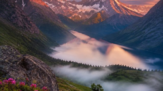 Captivating Nature Walls: Elevate Your Screens with Earth’s Beauty