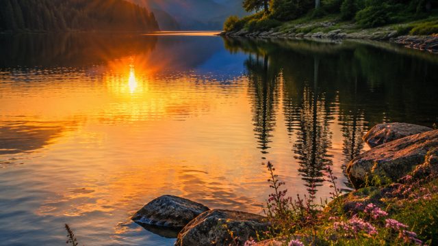Captivating Nature: Stunning Landscapes for Your Digital Devices
