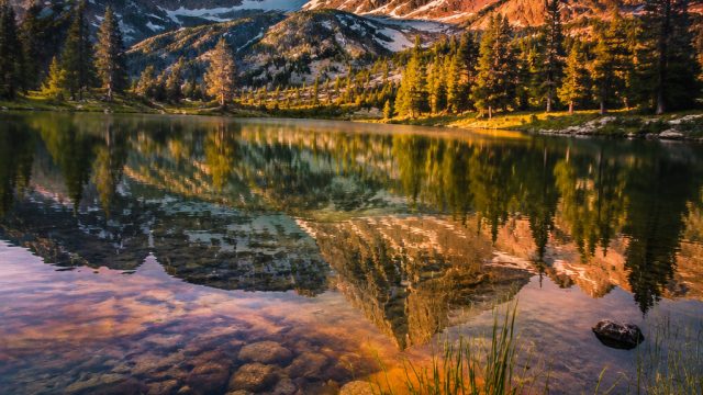 Vibrant Nature: Captivating Wallpaper Designs for Every Device