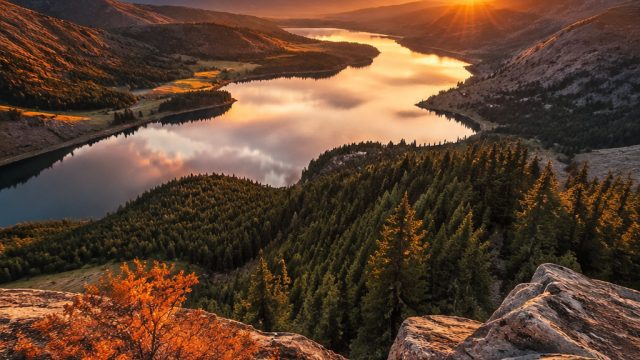 Emotive Earth Tones: A Warm Embrace for Your Screens