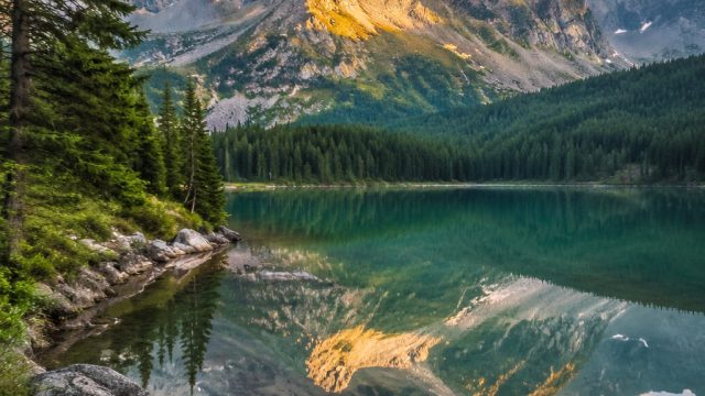 Embrace Serenity with Our Calming Nature Wallpaper Collection