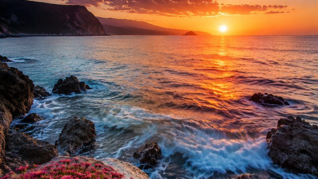 Captivating Visual Themes for Stunning Phone and Desktop Wallpapers