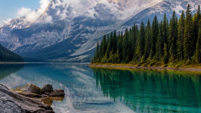 Nature's Serenity: Captivating Wallpaper for Every Screen | qq1221 hoki, big piggy bonus, friv petua