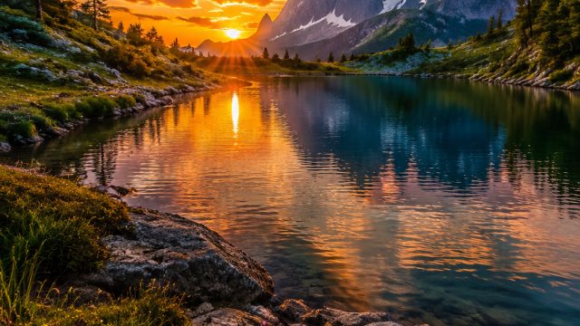 Captivating Nature: A Wallpaper Gallery for Serenity Seekers | 6bet slot, slot gacor rtg