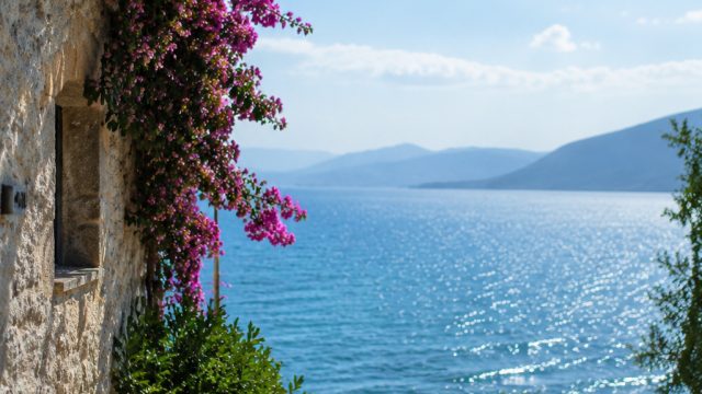 Captivating Summer Vibes: Discover Our Stunning Wallpaper Gallery | berak darah kenapa, free online 