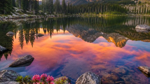 Vibrant Serenity: The Captivating World of Nature Wallpapers