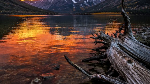 Captivating Visual Journeys: Evocative Wallpaper Themes