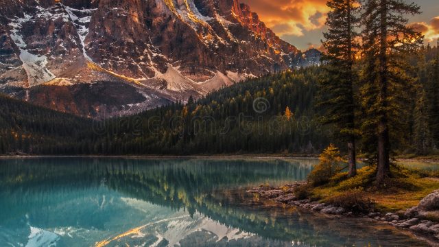Unlocking the Artistry of Photography in Wall Decor | joker gaming slot online, sus the rock