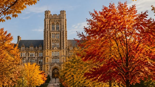 Capture the Essence of Autumn: Vibrant Campus Landscapes