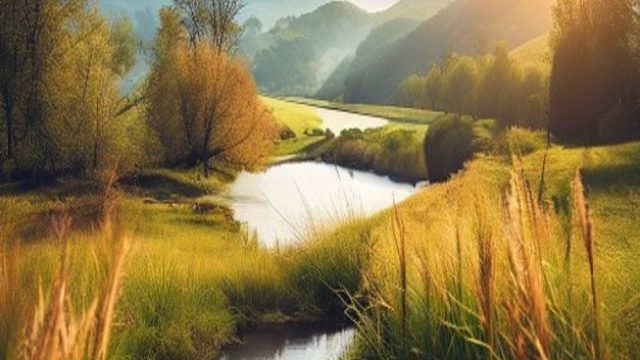 Capturing Nature: The Role of Photography in Environmental Conservation