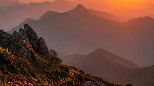 The Best Photography Techniques for Stunning Wallpapers