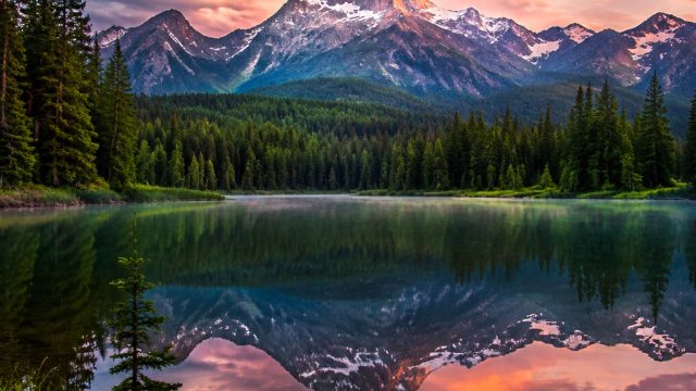 Embrace Tranquility with Soothing Nature Wallpapers