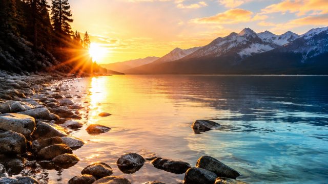 Captivating Backdrops: Modern Aesthetic for Your Devices
