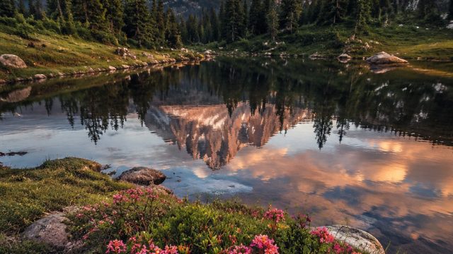 Captivating Nature Wallpaper: Embrace Serenity and Beauty
