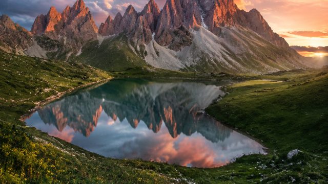 Stunning Visuals: Explore the Essence of Nature in Your Backgrounds