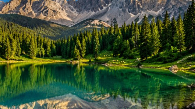 Enchanting Nature Wallpapers to Elevate Your Device