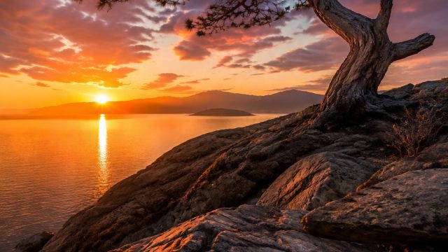 The Art of Photography: Capturing Moments That Speak Volumes