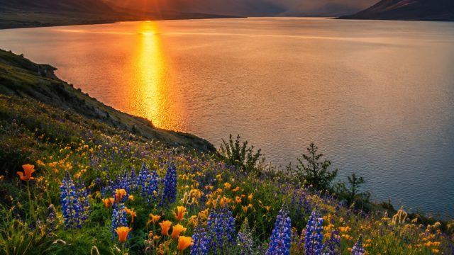Elevate Your Screen with Captivating Nature Photography