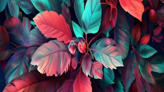 Immerse Yourself in the Vibrancy of Our Exquisite Wallpaper Gallery